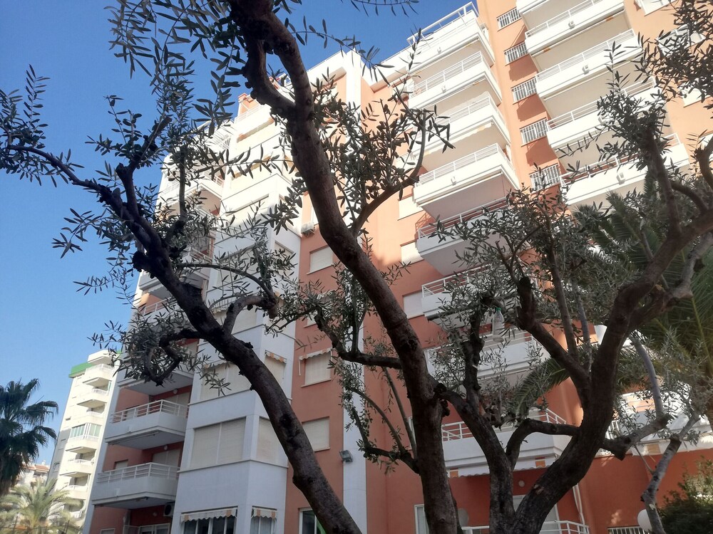 Photo 40