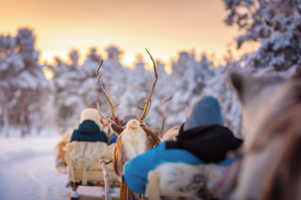 Sielikkö Aurora Log Villas
