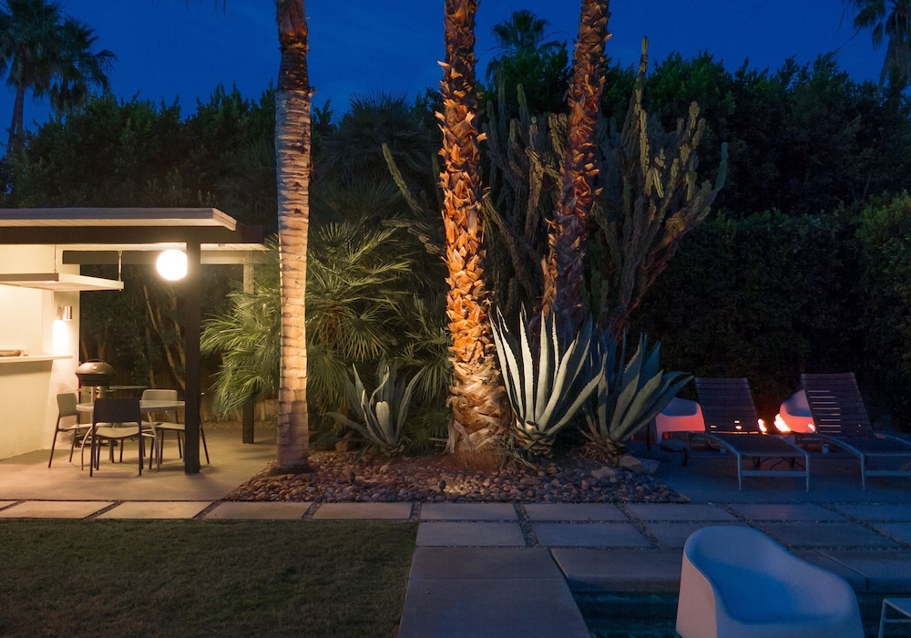 Lost Oasis
