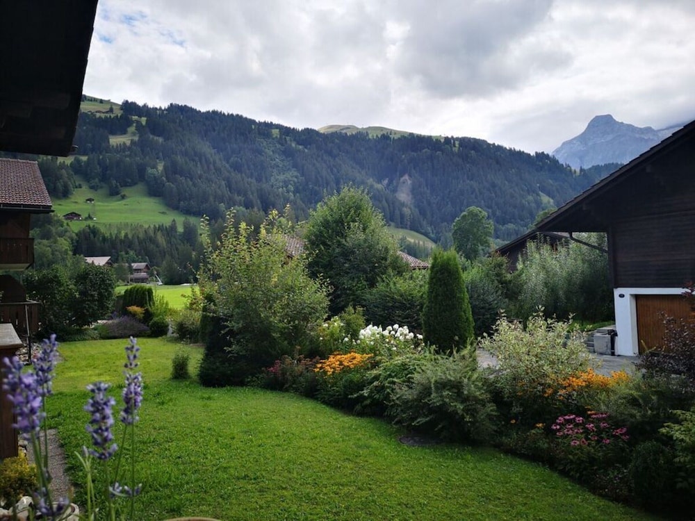 Charming Apartment in Lenk