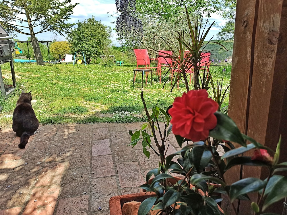 Photo 41