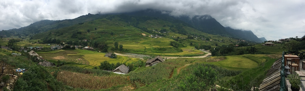 Freedom Homestay