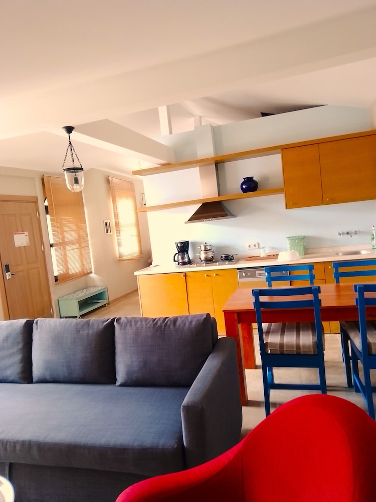 Amazing Penthouse with Terrace CLEMENTIN