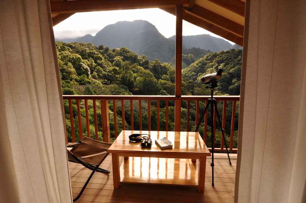 Mount Totumas Cloud Forest view 5