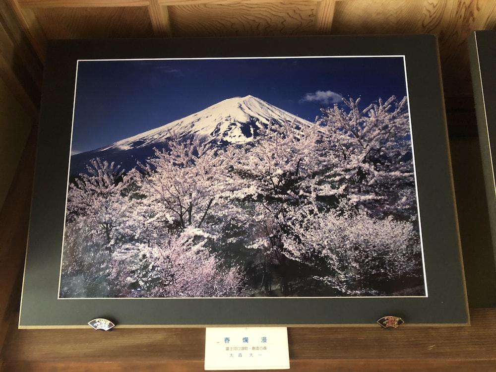 Haranoya, photo 12