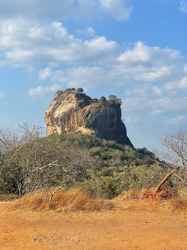Elephant Safari Lodge