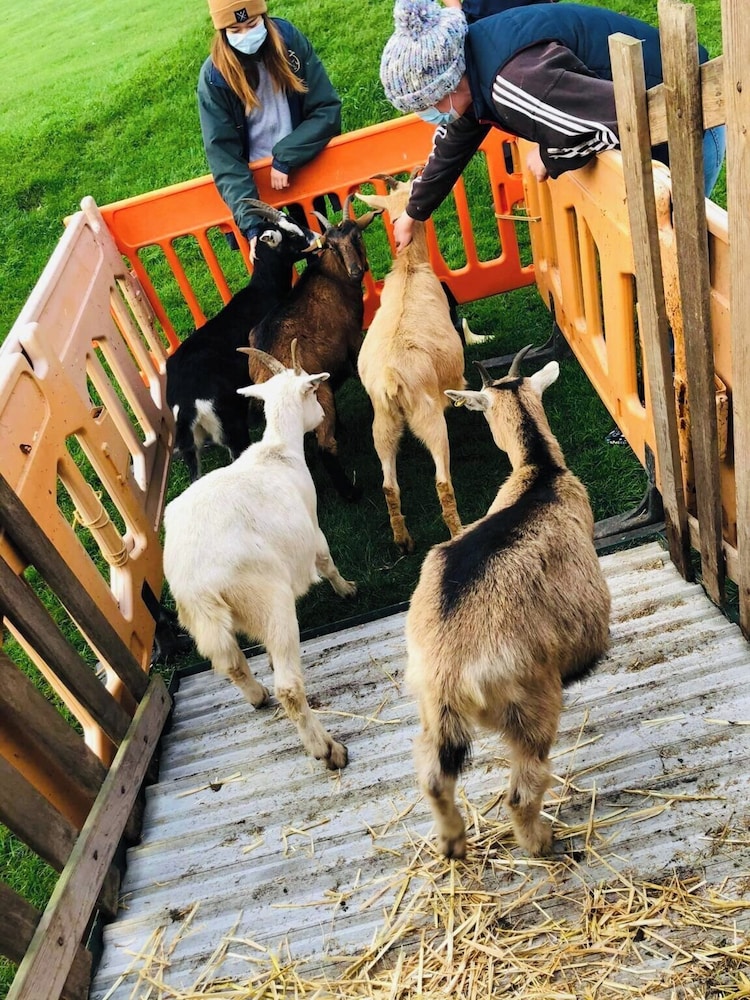 Rustic Valley Cabin at Animal Rescue Sanctuary