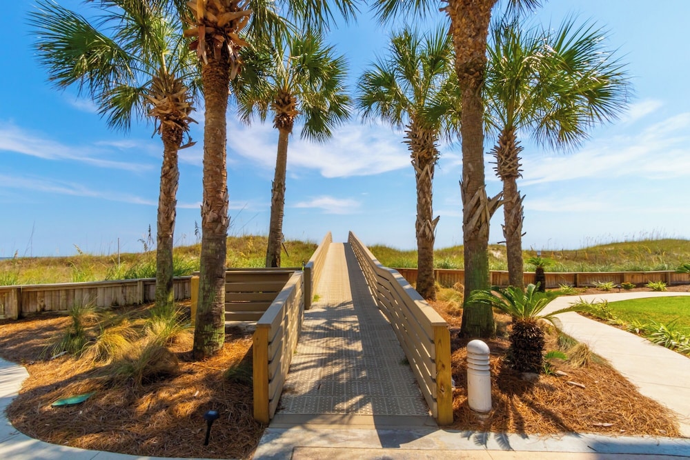 Palm Beach D-21