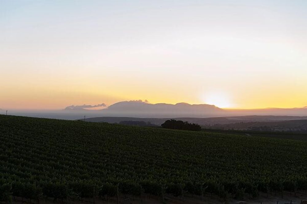 Dieu Donne Boutique Guest House Stellenbosch