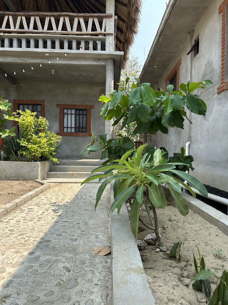Photo 19