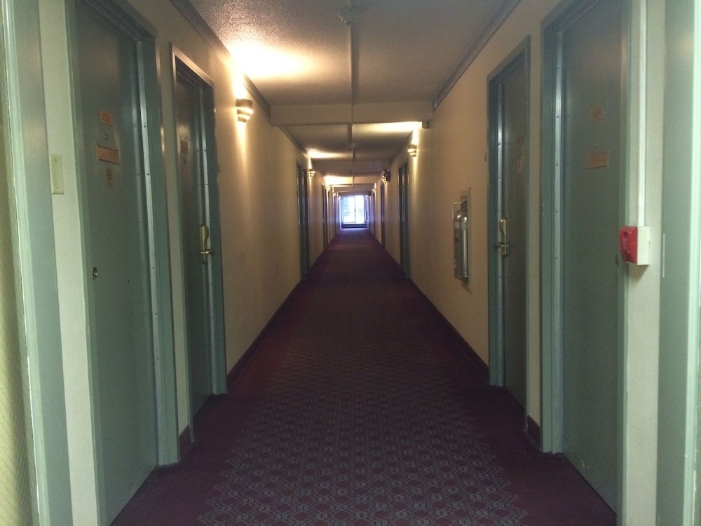 Photo 35
