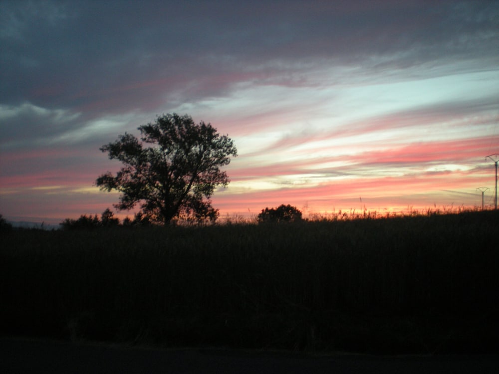 Photo 33