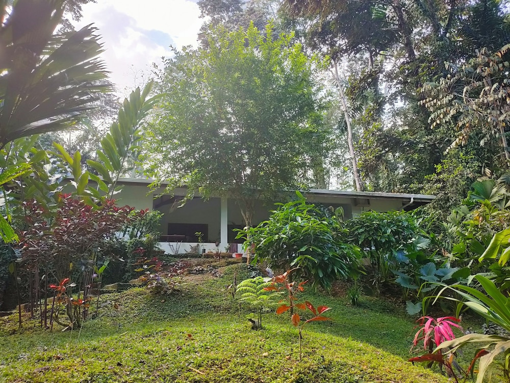 FINCA ARDILLA