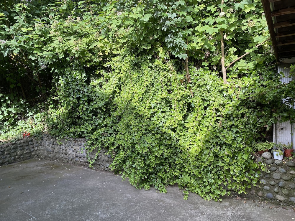 Photo 38