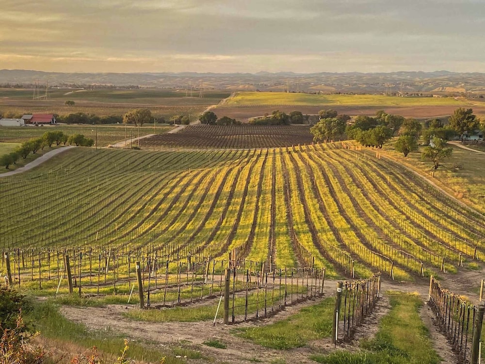 Hidden Acre Vineyard Estate