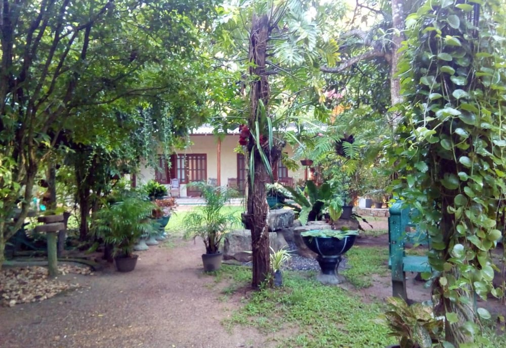 Photo 23