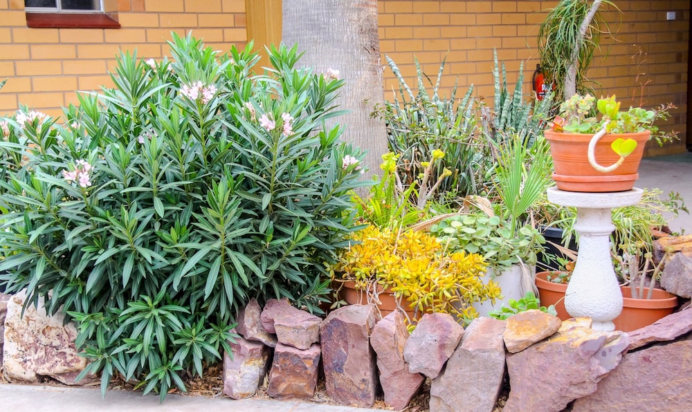 Pampas Motel - Property Image 5