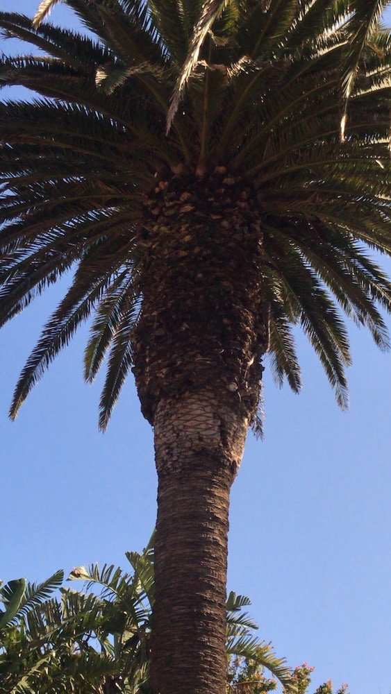Photo 42