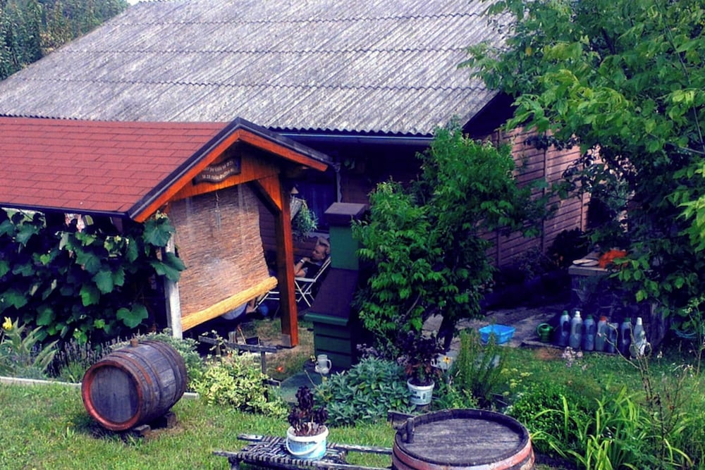 Photo 12
