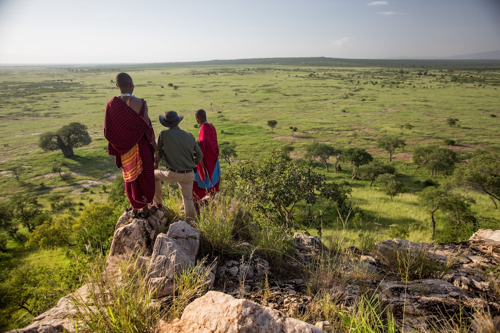 Elewana Tarangire Treetops