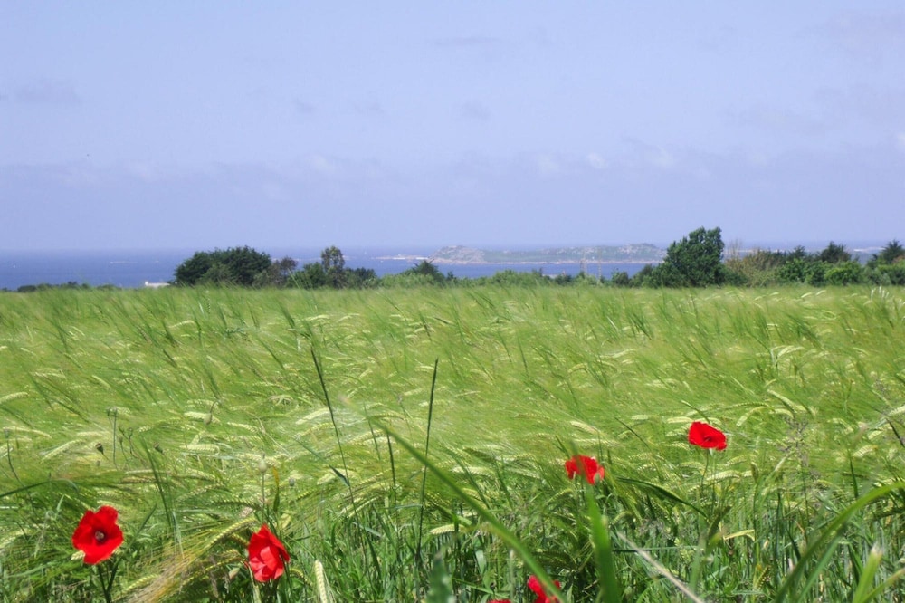 Stone House Near Rosa Granite Coast