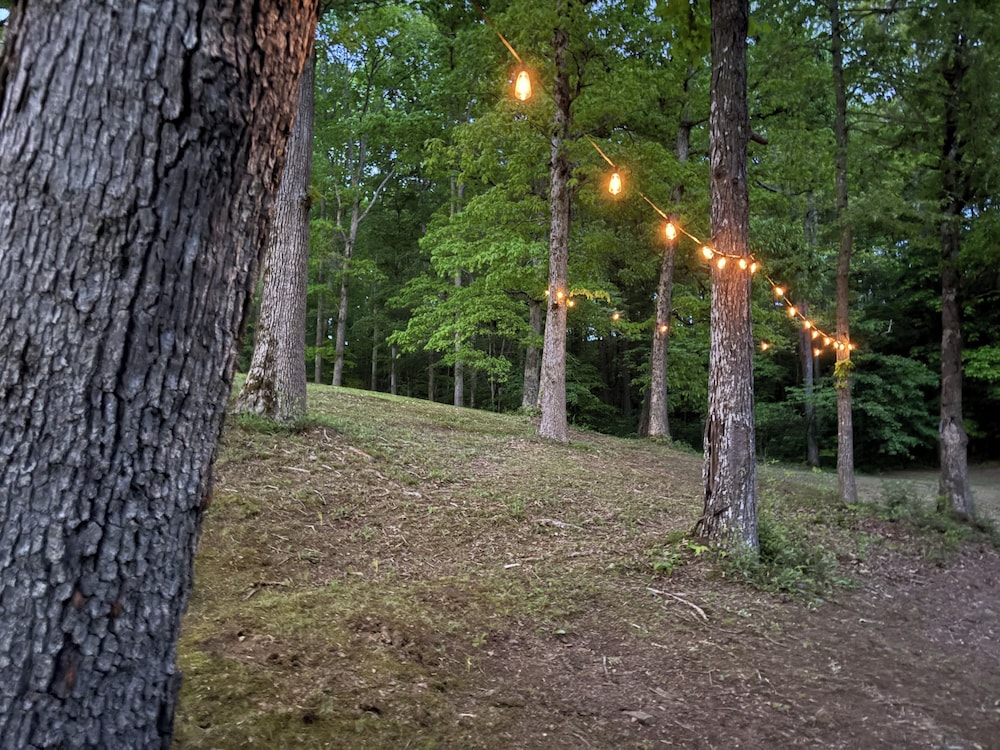 Newly Listed-Private 25-Acre Escape Near Red River Gorge
