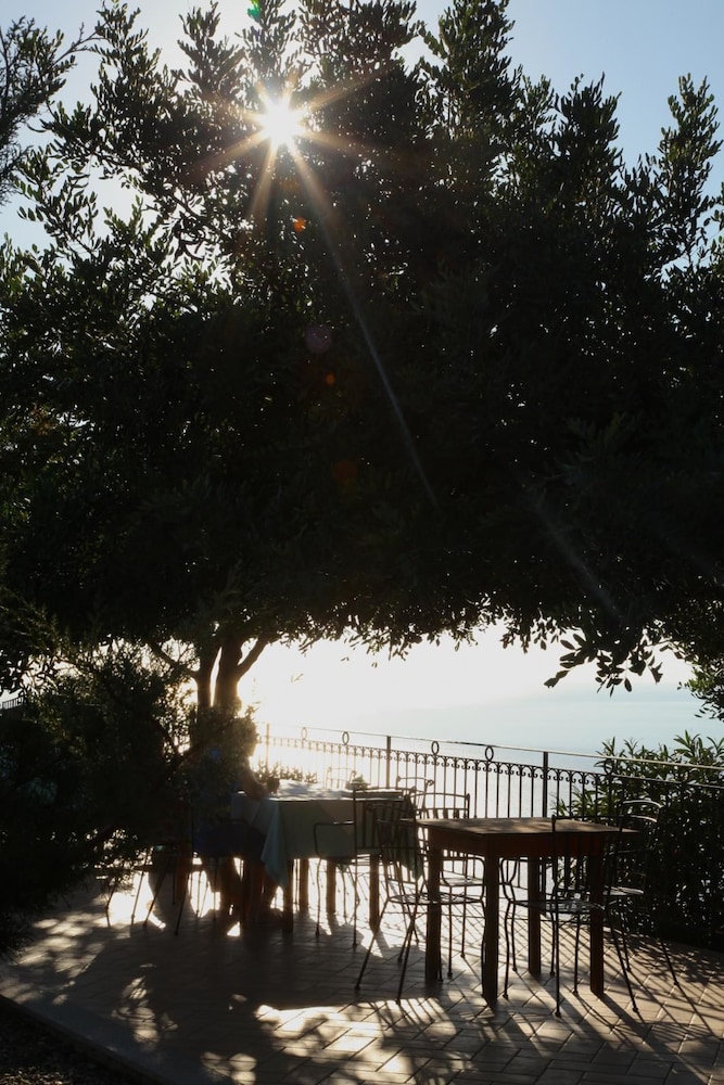 Photo 45