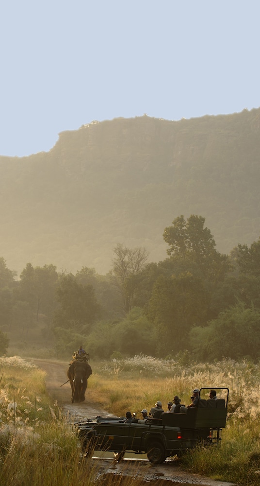 Mahua Kothi, Bandhavgarh National Park