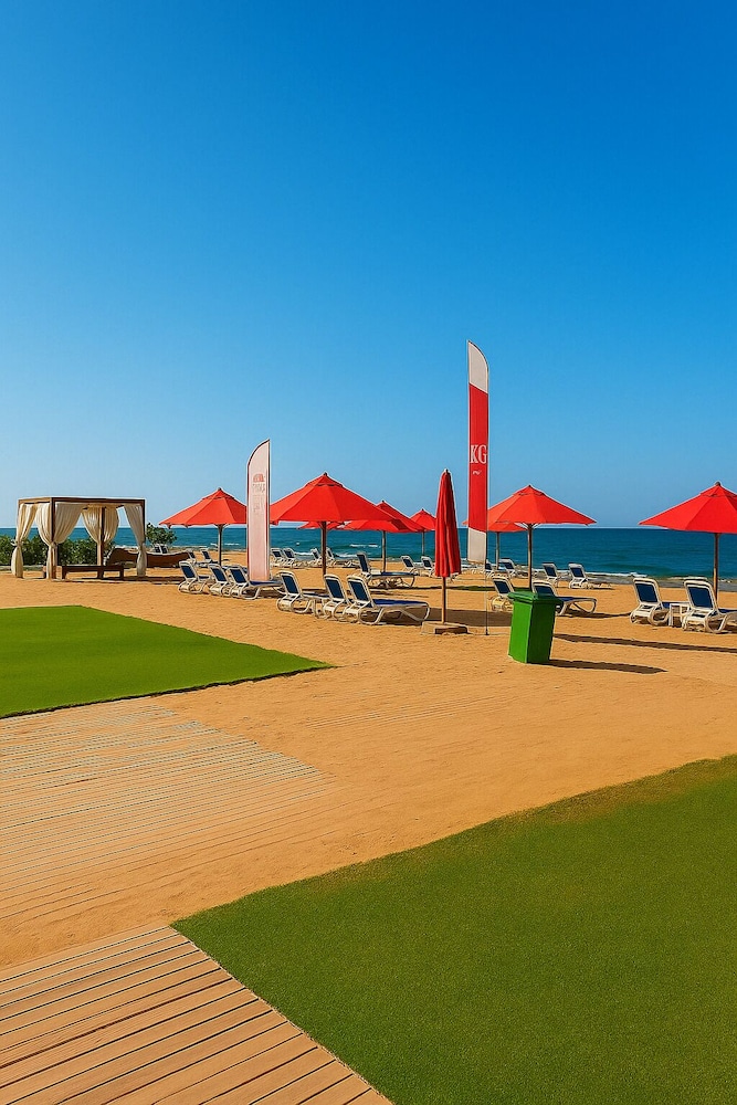 Porto Saeed Rentals 1