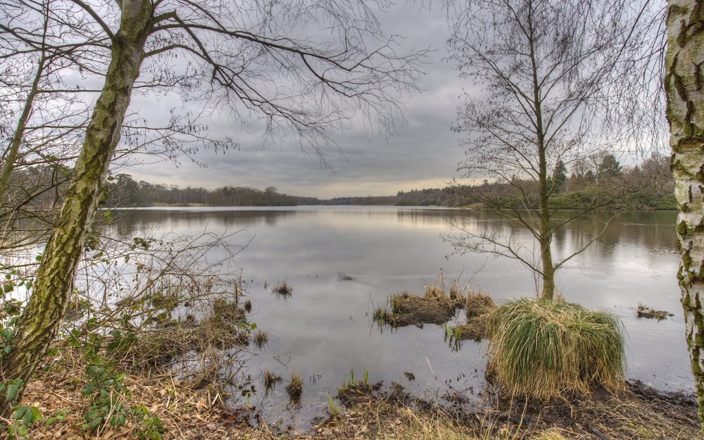 Wheatsheaf Hotel - Virginia Water by Chef and Brewer Collection