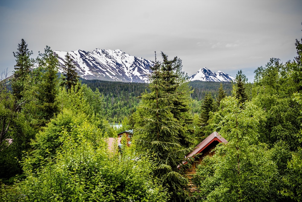 Midnight Sun Log Cabins