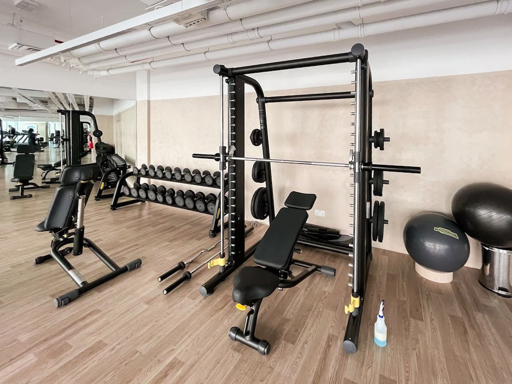Phenomenal Studio in Luma 21