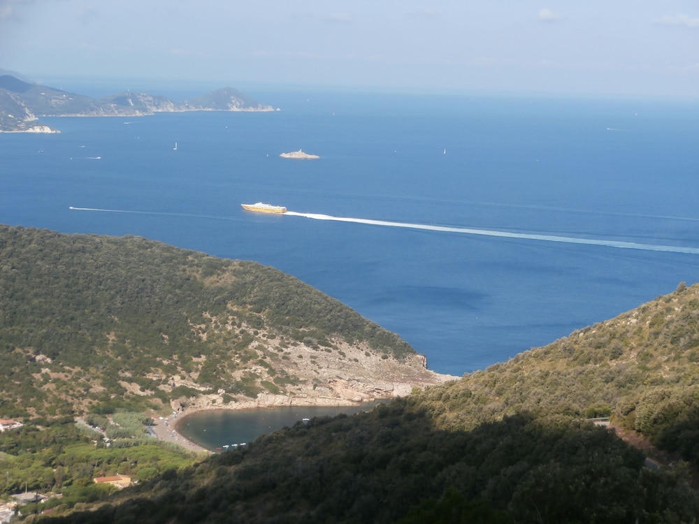 Nisportino Domus