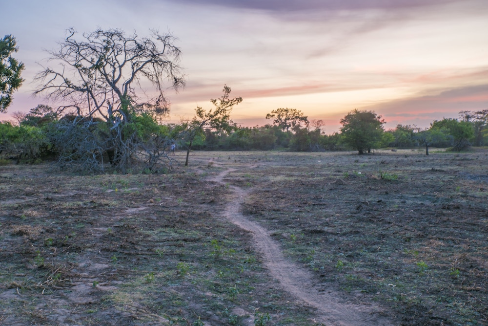 Elephant Lake Yala