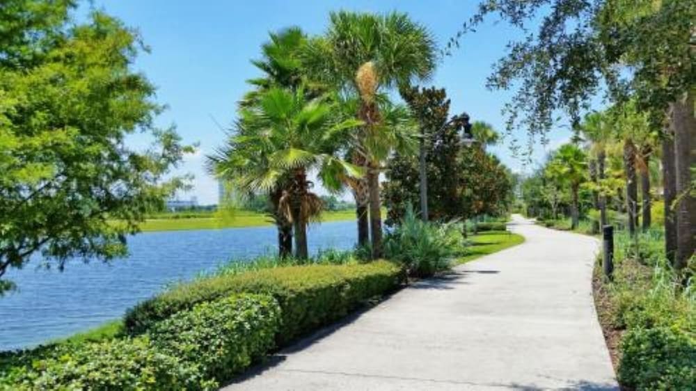 Vista Cay Swanky
