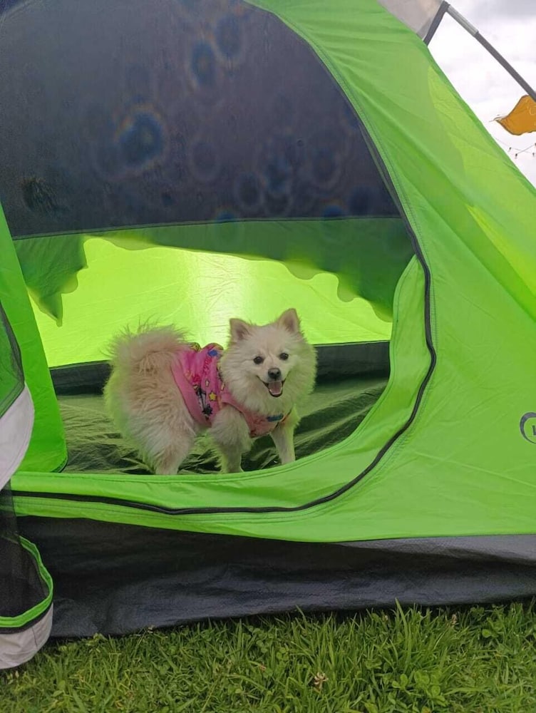 Camping San Francisco - Guatavita