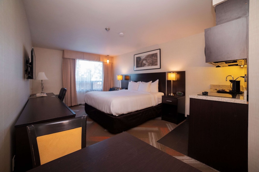 Quality Hotel - Property Image 47