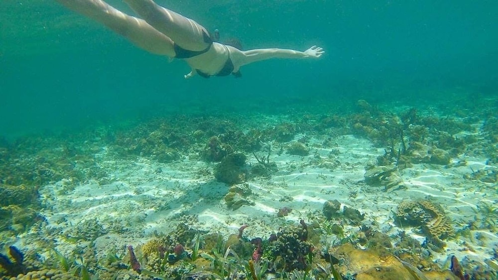 Urraca Monkey Island Eco Resort