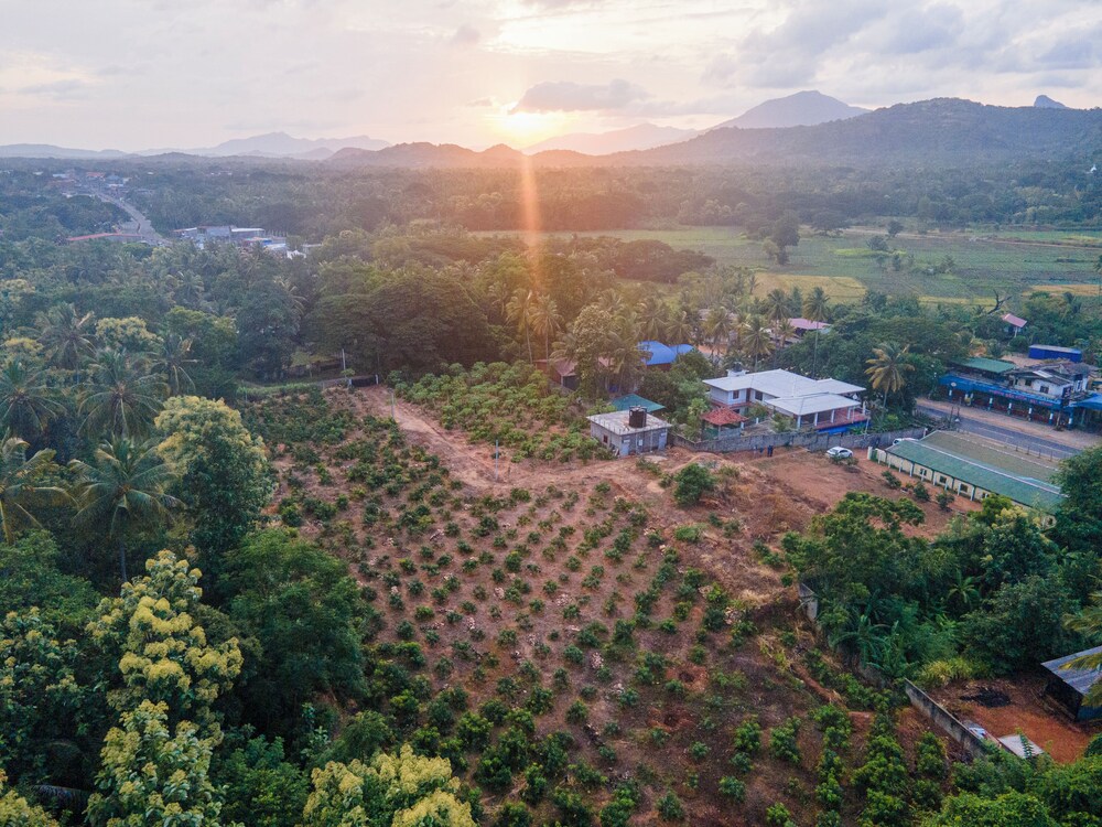 Mango Tree Retreat view 2