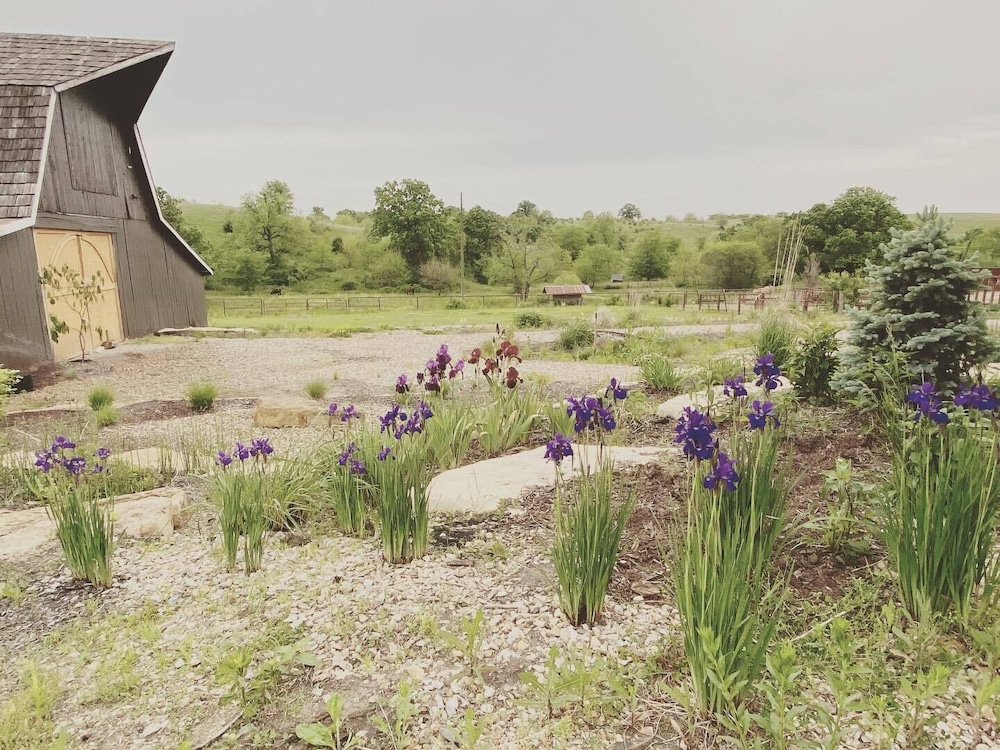 Lawrence Vacations - Circle S Ranch - Property Image 56