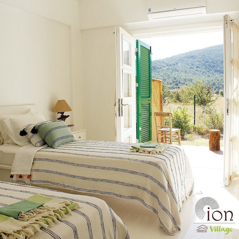 Ion Village