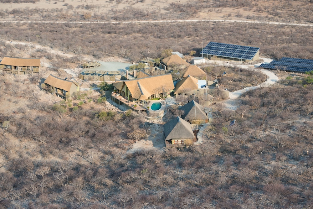 Safarihoek