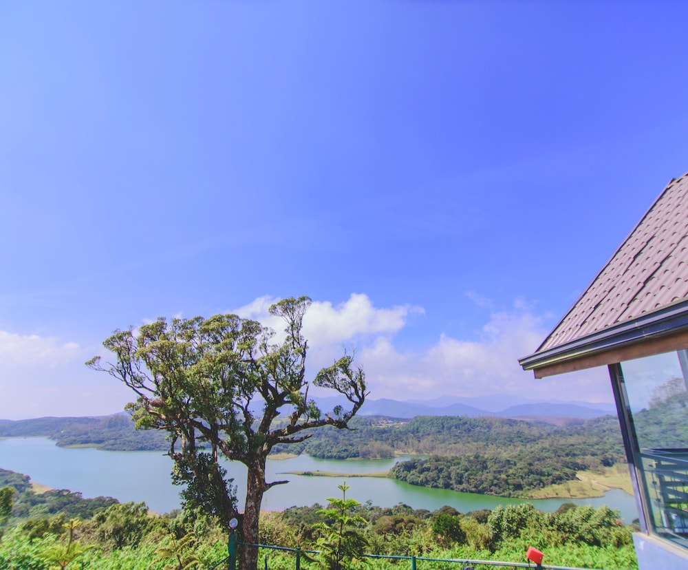 Mount Lake Inn