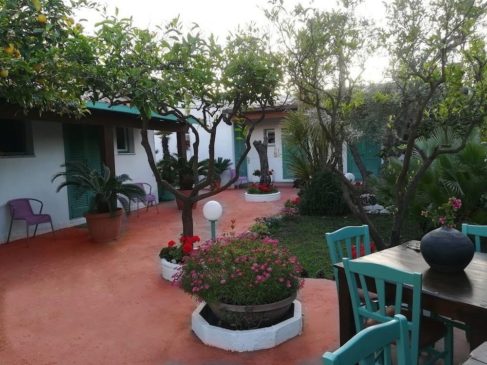 Photo 19