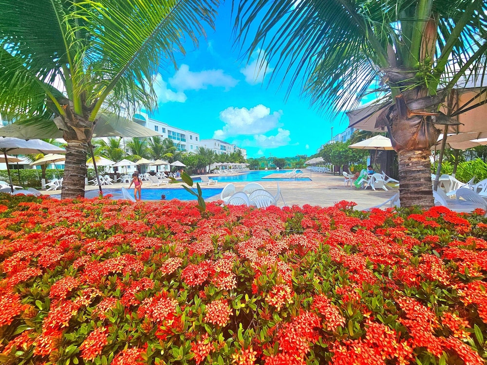 Palm Village