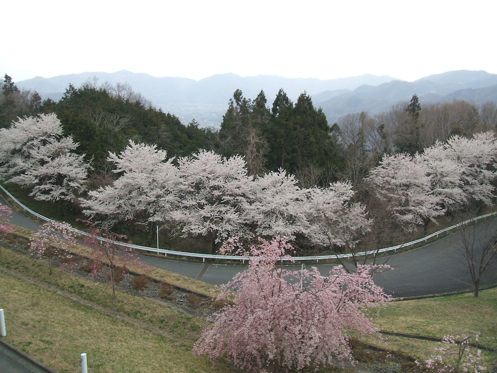 Photo 44