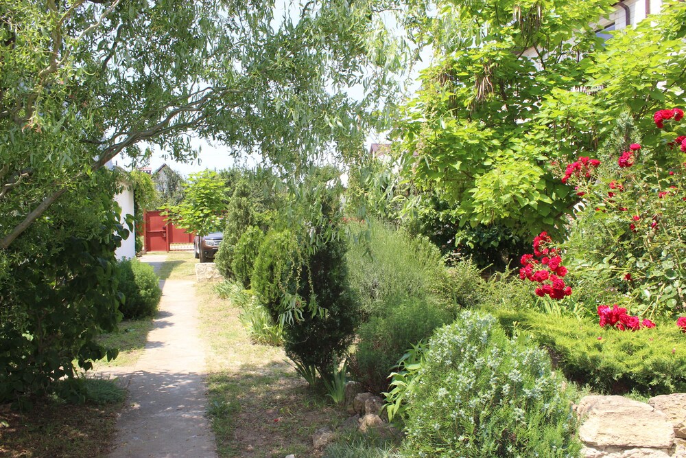 Photo 48
