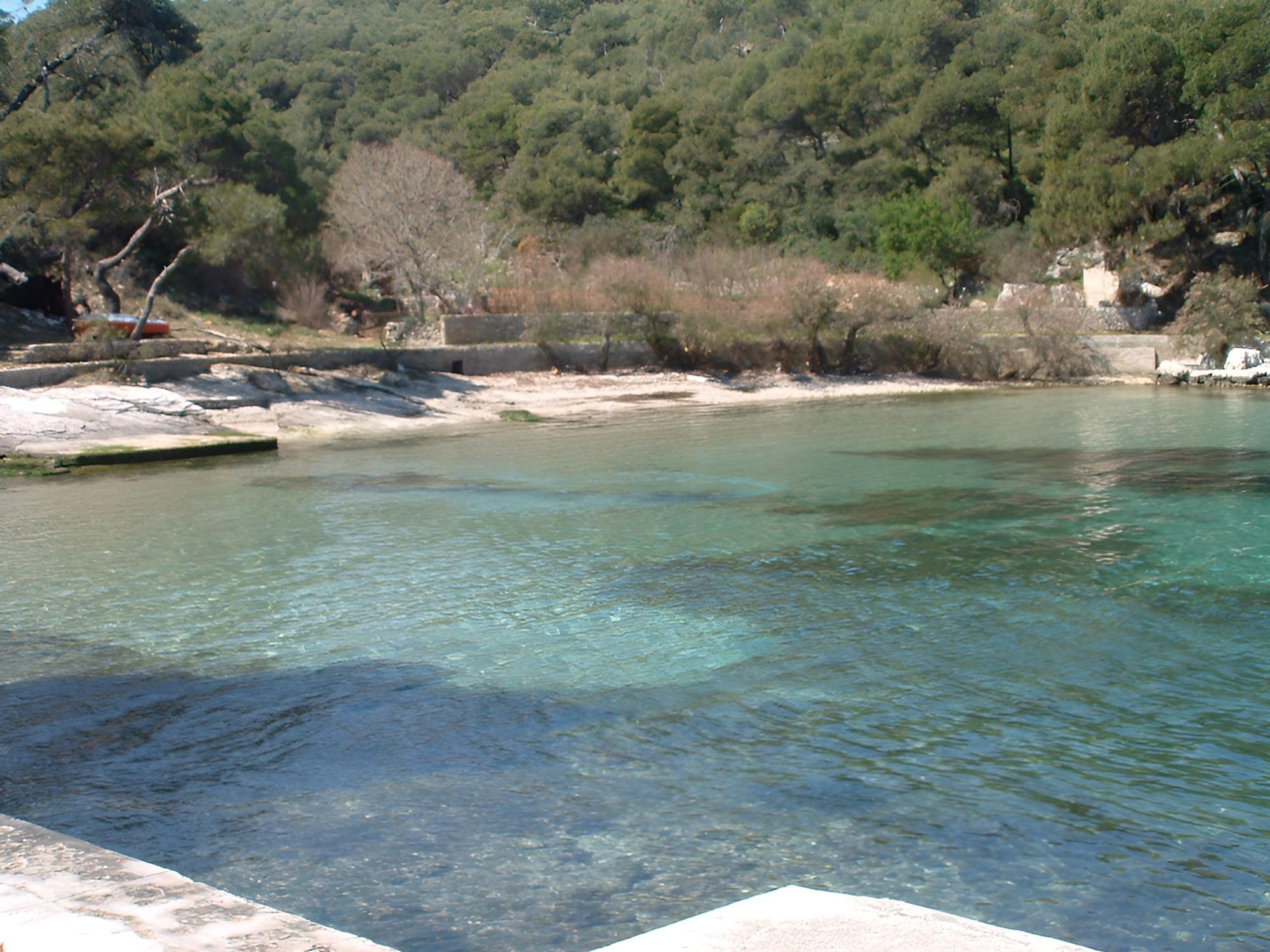 Photo 8