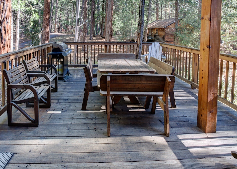 Cabin Twelve
