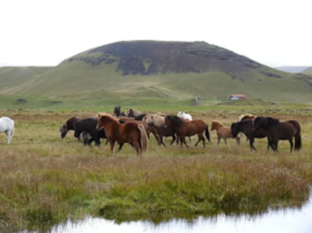Guesthouse Vellir